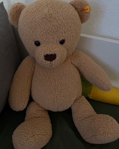 Teddy